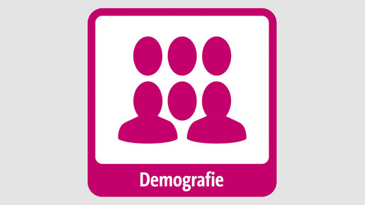 Kommunaler Nahverkehr Berlin