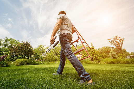 background, design, hand, tree, person, man, nature, leaf, spring, green, gardening, garden, pruning, cut, gardener, work, plant, growth, trimming, trim, equipment, branch, yard, tool, bush, season, hedge, people, scissors, activity, outdoors, clippers, worker, care, twig, shear, lifestyle, outdoor, shears, maintenance, stem, trunk, bark, seasonal, tidy, horticulture, trimmer, shrubs, landscape