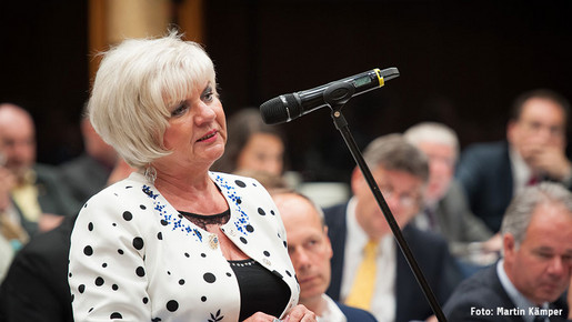 Helene Wildfeuer Helene Wildfeuer