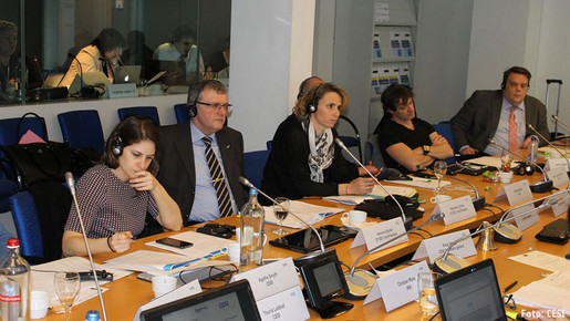 Sitzung des CESI-Berufsrats Sicherheit am 16. März in Brüssel.