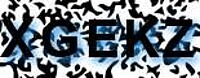 grafischer Sicherheitscode