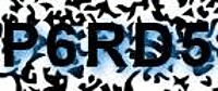 grafischer Sicherheitscode