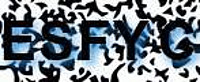grafischer Sicherheitscode
