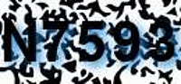 grafischer Sicherheitscode