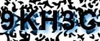 grafischer Sicherheitscode