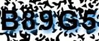 grafischer Sicherheitscode