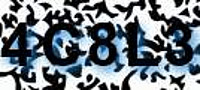grafischer Sicherheitscode