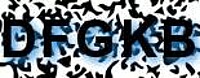 grafischer Sicherheitscode