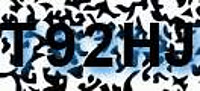 grafischer Sicherheitscode