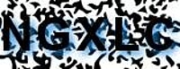 grafischer Sicherheitscode