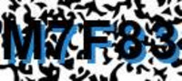grafischer Sicherheitscode