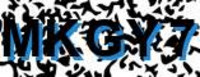 grafischer Sicherheitscode