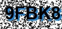 grafischer Sicherheitscode