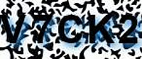 grafischer Sicherheitscode