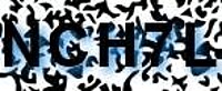 grafischer Sicherheitscode