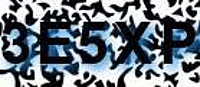 grafischer Sicherheitscode