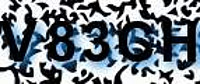 grafischer Sicherheitscode