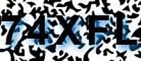 grafischer Sicherheitscode
