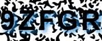 grafischer Sicherheitscode