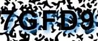 grafischer Sicherheitscode