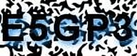 grafischer Sicherheitscode