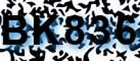 grafischer Sicherheitscode