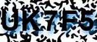 grafischer Sicherheitscode
