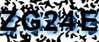 grafischer Sicherheitscode