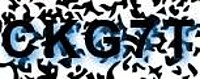 grafischer Sicherheitscode