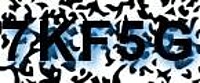 grafischer Sicherheitscode