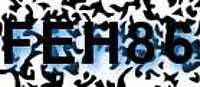grafischer Sicherheitscode