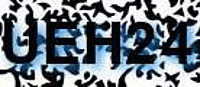 grafischer Sicherheitscode