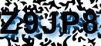 grafischer Sicherheitscode