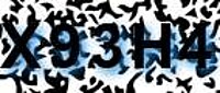 grafischer Sicherheitscode