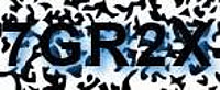 grafischer Sicherheitscode
