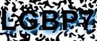 grafischer Sicherheitscode