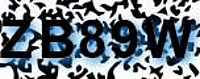 grafischer Sicherheitscode