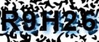 grafischer Sicherheitscode