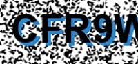 grafischer Sicherheitscode