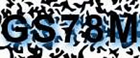 grafischer Sicherheitscode