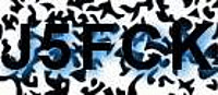 grafischer Sicherheitscode
