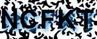 grafischer Sicherheitscode