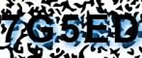 grafischer Sicherheitscode