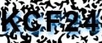 grafischer Sicherheitscode