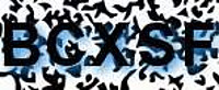 grafischer Sicherheitscode