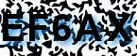 grafischer Sicherheitscode