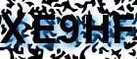 grafischer Sicherheitscode