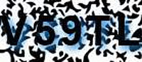grafischer Sicherheitscode