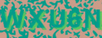 grafischer Sicherheitscode