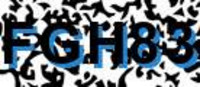 grafischer Sicherheitscode